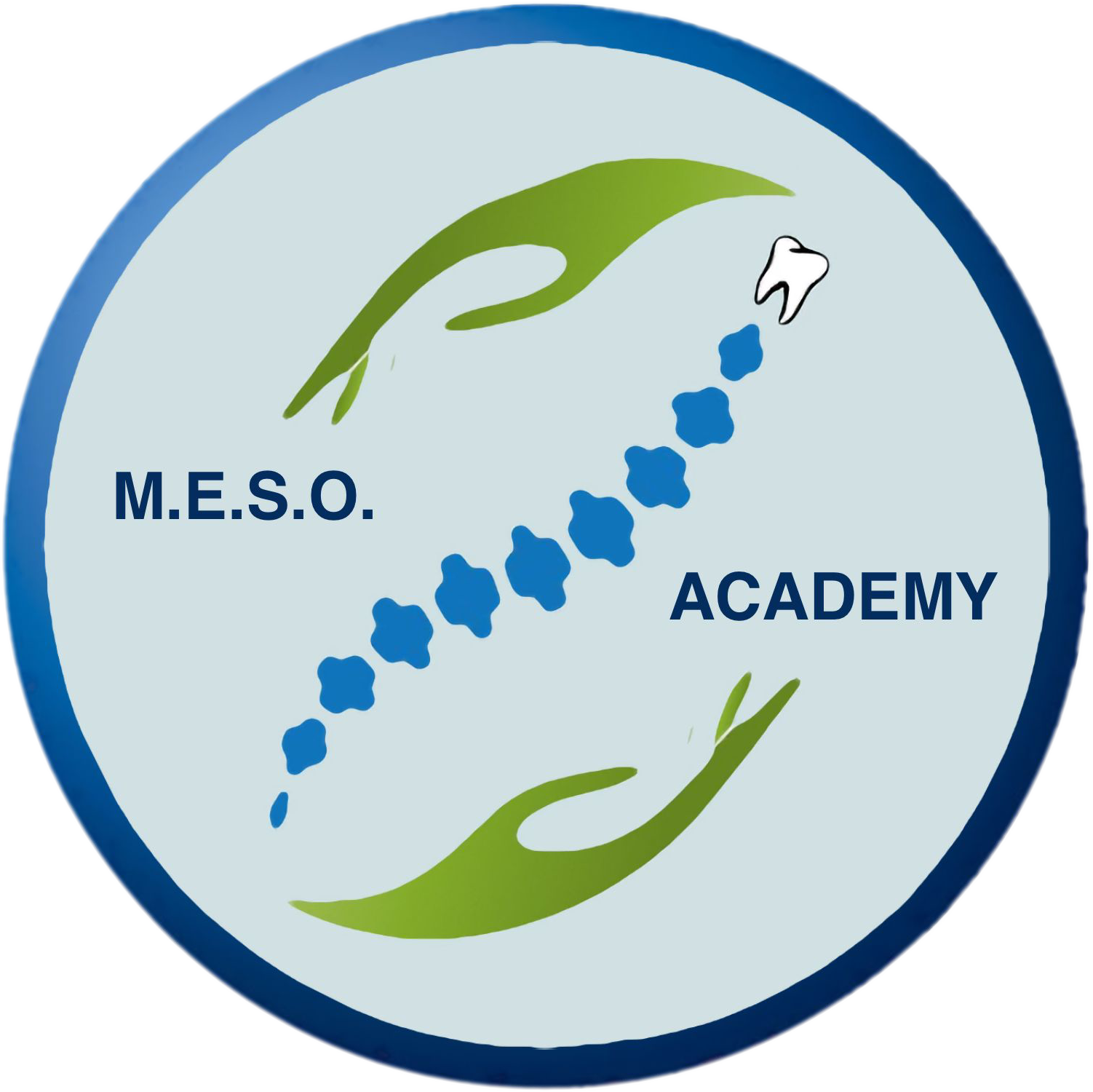 Visita il sito MESO Academy